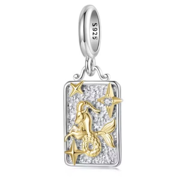 Berloque Capricorn Prata