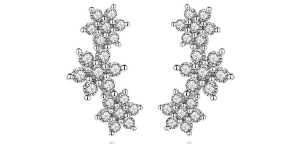 Brinco Aysha Cristal Prata